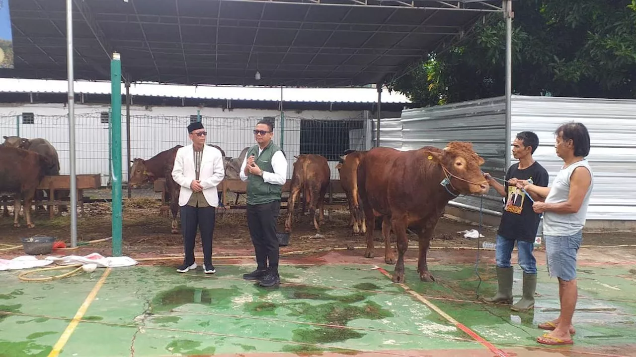 Kurban Idul Adha, Gibran Sumbang 1 Sapi Limosin ke Masjid Al-Azhar