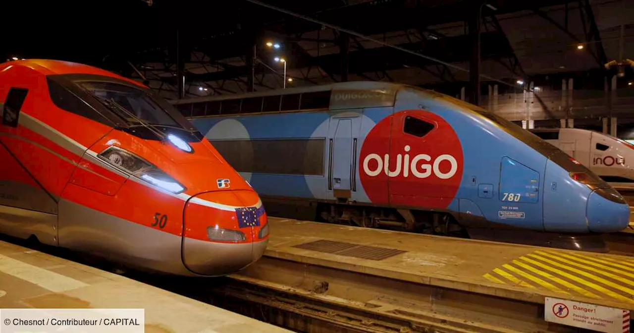 Ouigo : l’offre low cost de la SNCF va desservir quinze gares de plus