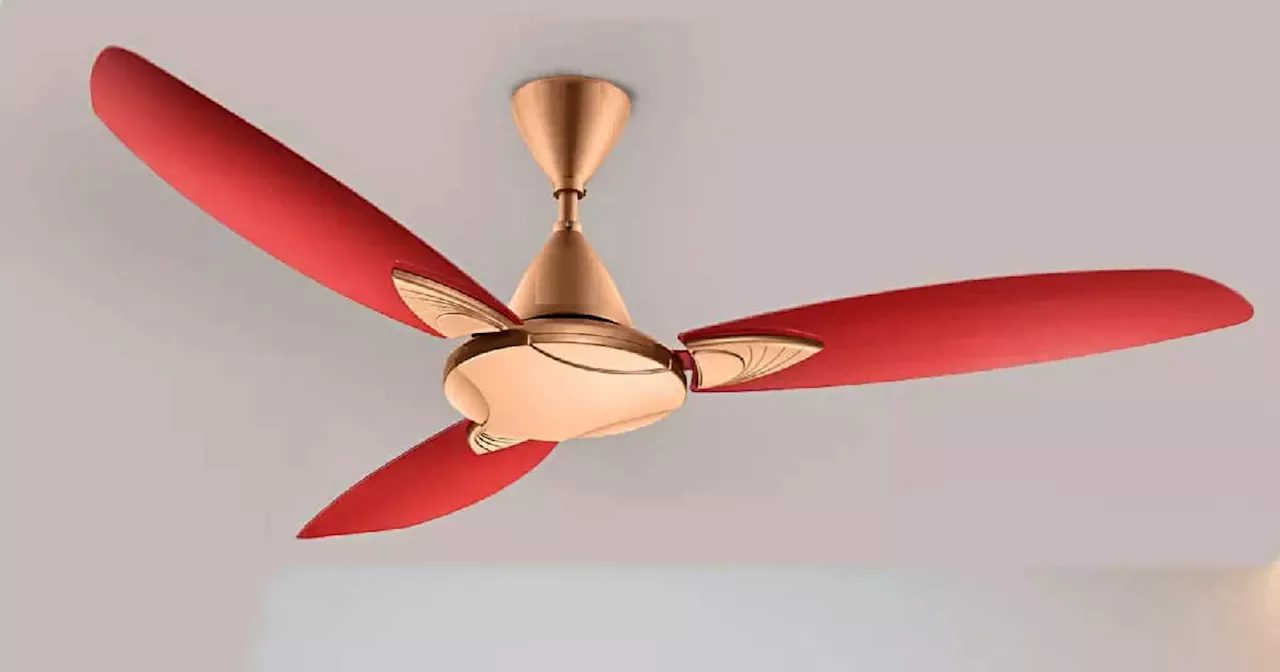 कमरा बनेगा हवामहल जब चलेंगे ये Ceiling fan, 1500 रुपये से कम में मिल रहे हैं गर्दा उड़ा देने वाले पंखे