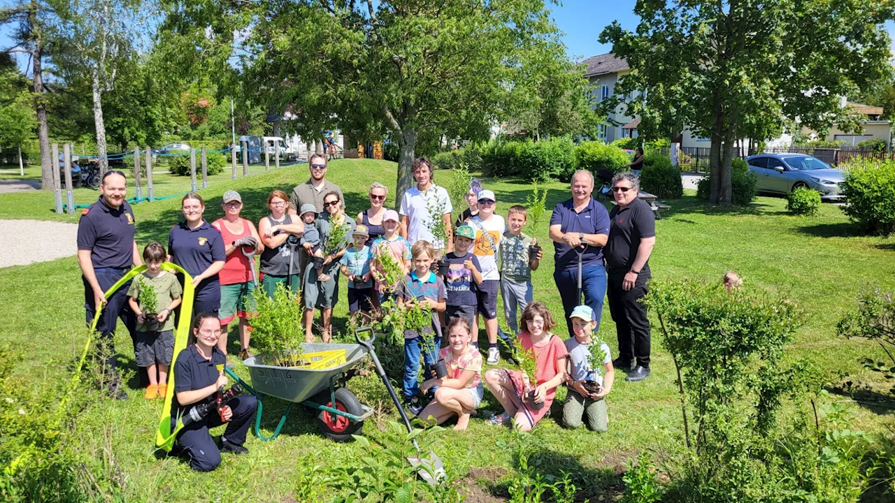 Verein „MitSpratzern“ startete Initiative und pflanzte 80 Hecken