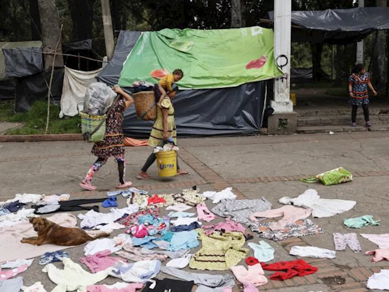 Las complejas condiciones en las que viven los embera en el Parque Nacional, de Bogotá