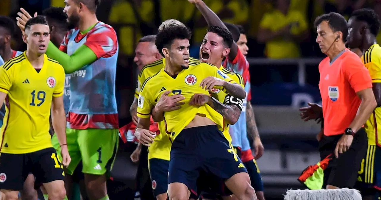 Luis Díaz y James cumplieron los sueños de dos niños que interrumpieron el partido contra Bolivia