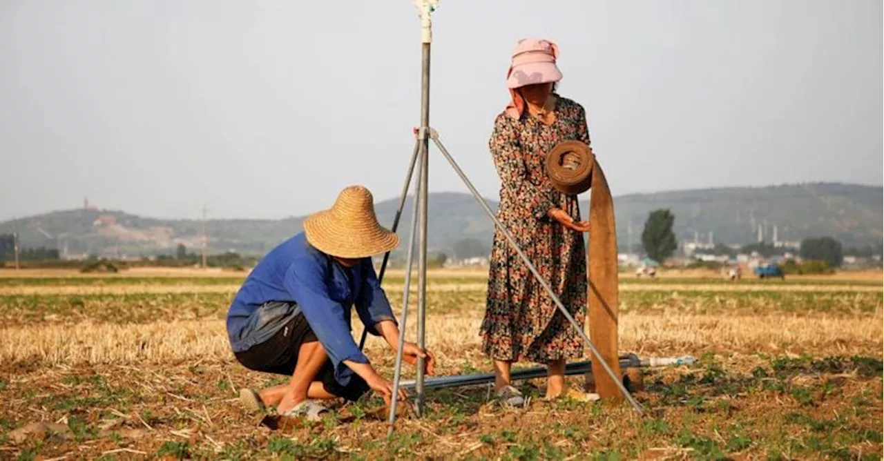 Così la Cina ha pianificato la piena autosufficienza agroalimentare