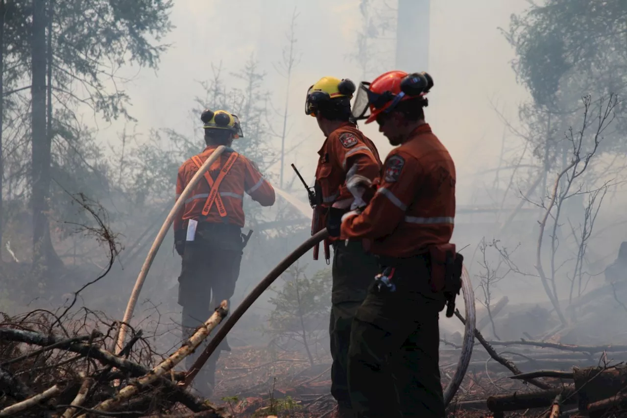 Five new wildfires reported Saturday in Northeast Region