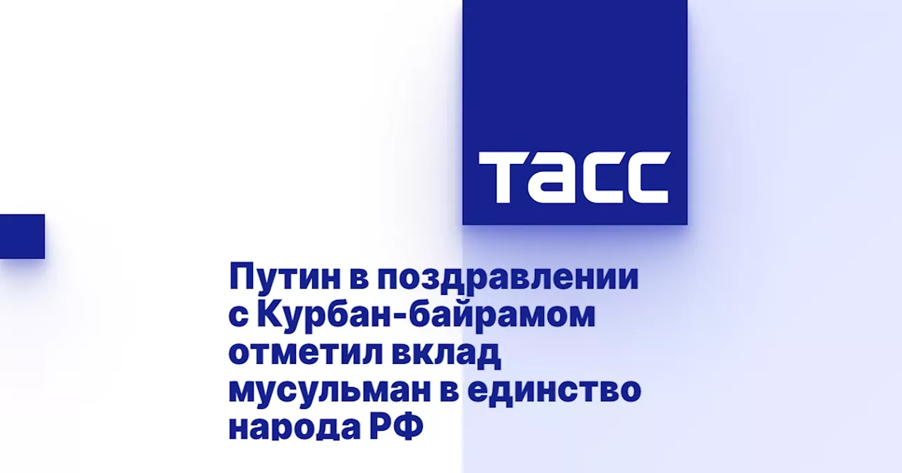 Путин в поздравлении с Курбан-байрамом отметил вклад мусульман в единство народа РФ