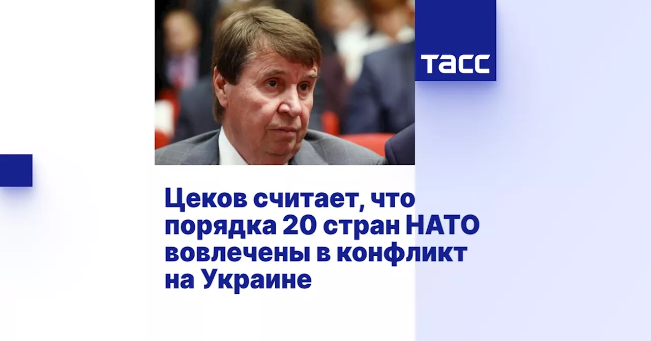 Цеков считает, что порядка 20 стран НАТО вовлечены в конфликт на Украине