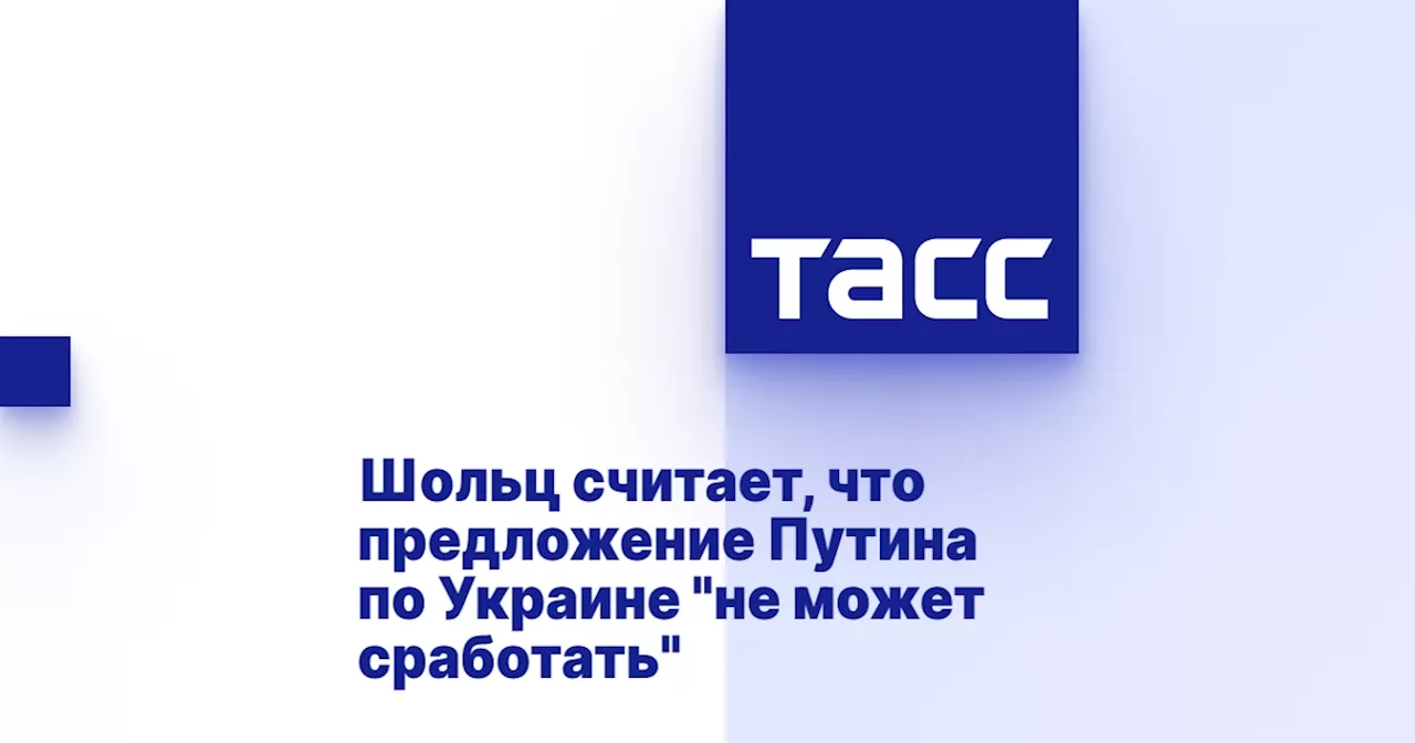 Шольц считает, что предложение Путина по Украине 'не может сработать'