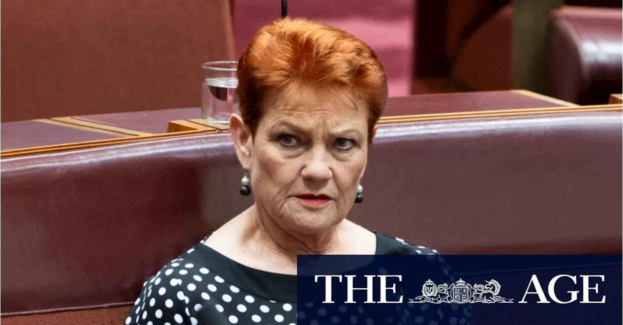 Robert Irwin asks Pauline Hanson to please explain ‘defamatory’ cartoon