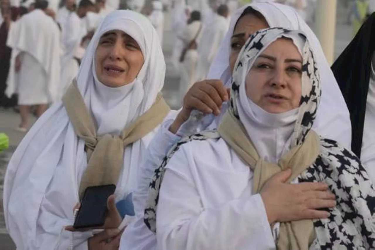 Muslim pilgrims pray on Mount Arafat in hajj climax