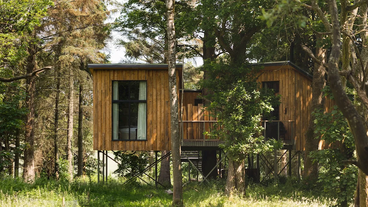 I went on staycation in Scotland and stayed in beautiful treehouse with breathtaking views