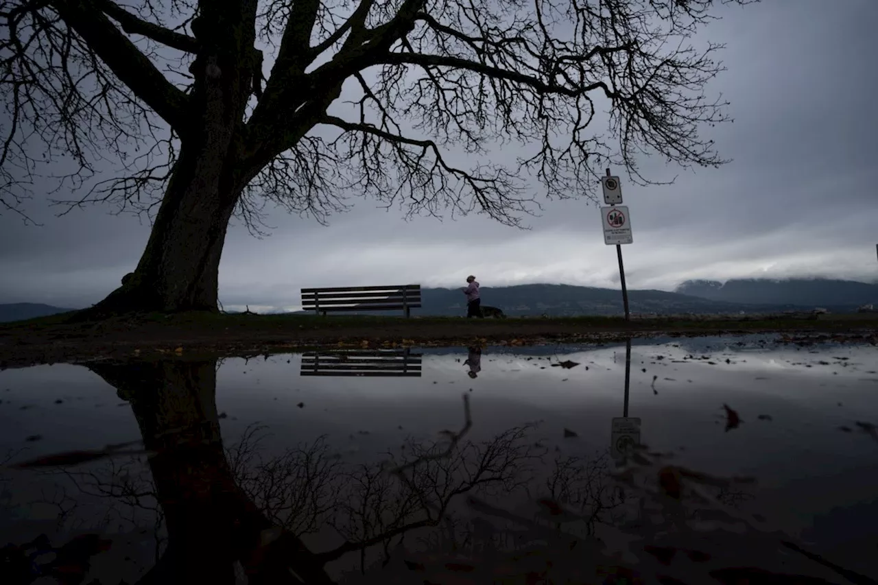 Environment Canada issues rainfall warnings for parts of northeastern B.C.