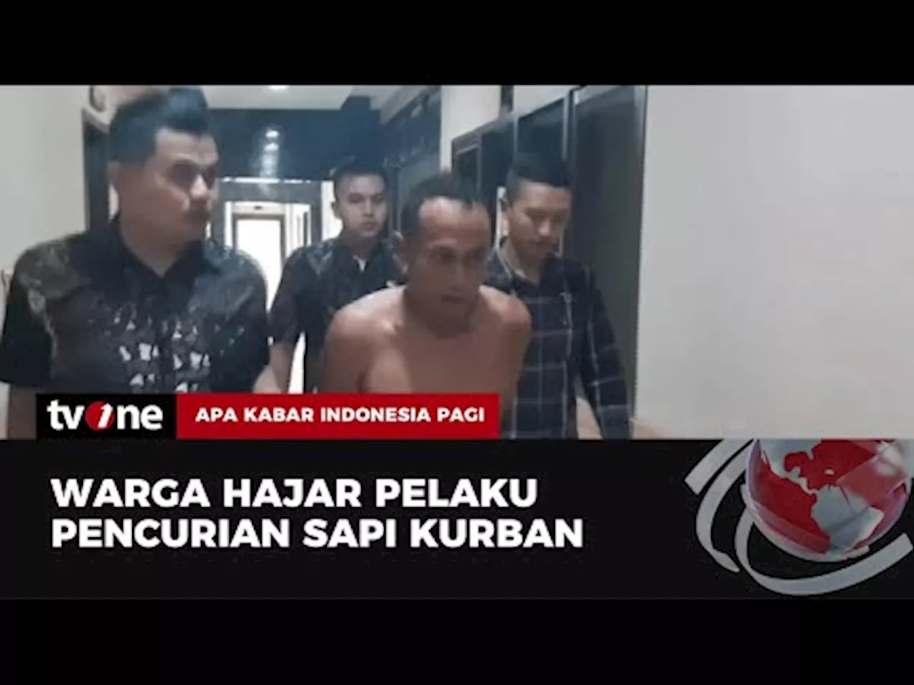 Pria Ini Babak Belur Dihajar Warga Usai Curi Sapi Kurban