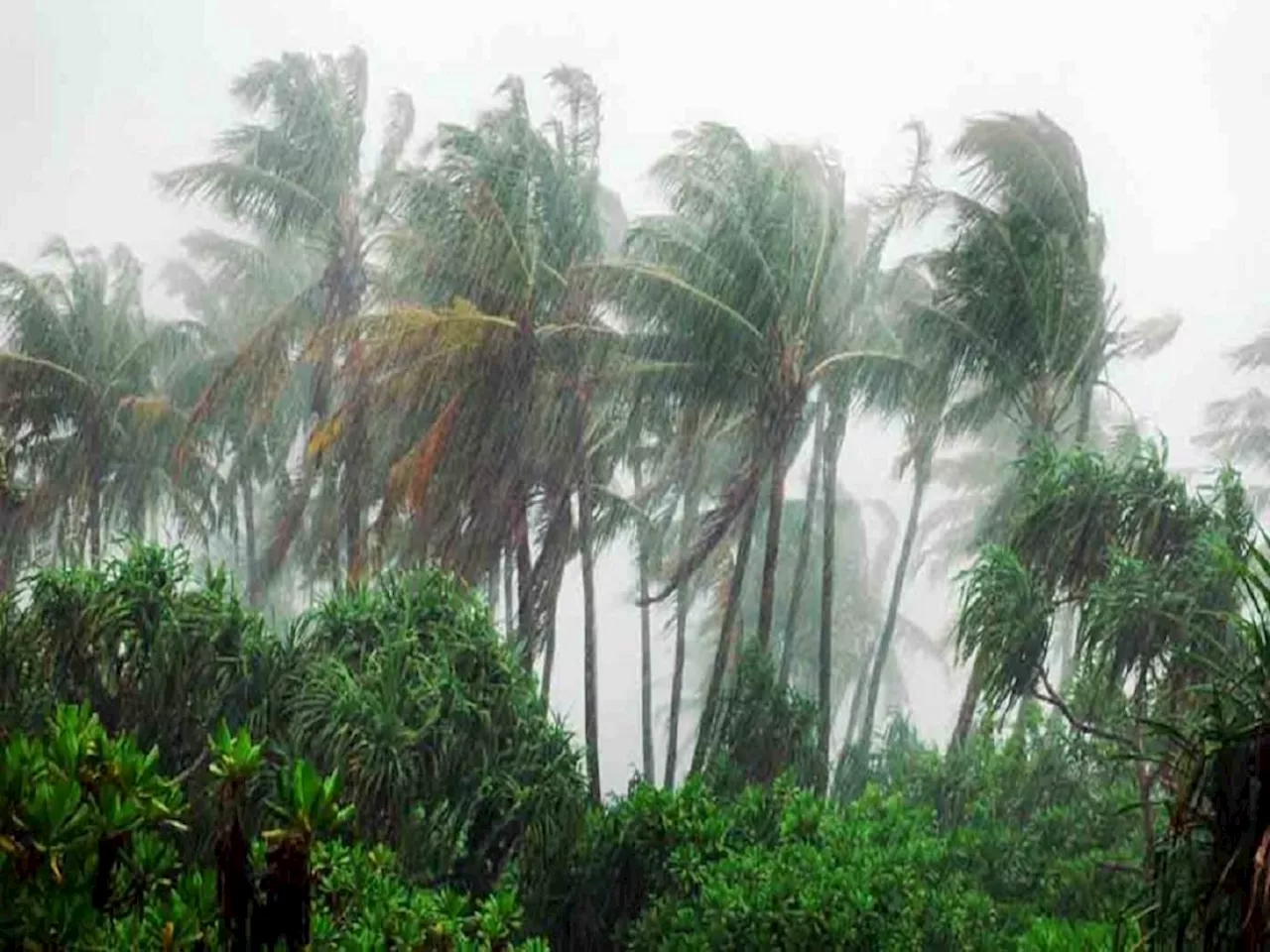 Maharashtra Weather News : 'या' भागासाठी पुढचे 24 तास वादळी पावसाचे; ताशी 40-50 किमी वेगानं वारेही वाहणार