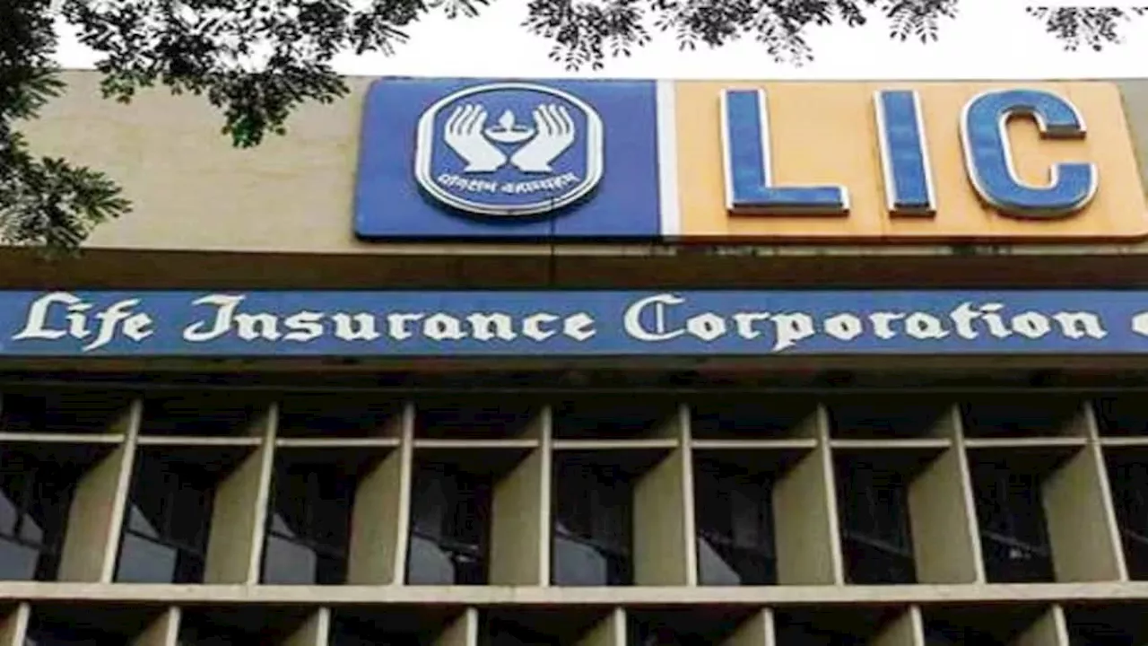 5 दिन में इन कंपनियों ने कमाए 85,582 करोड़! LIC को सबसे ज्‍यादा फायदा