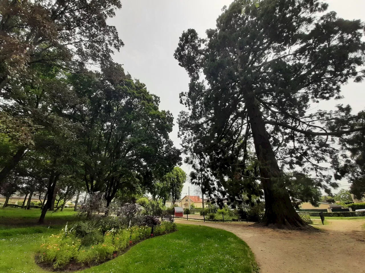 Fermeture d'un parc, Chronovélo, concert : ce qui vous attend au Mans ce lundi 17 juin