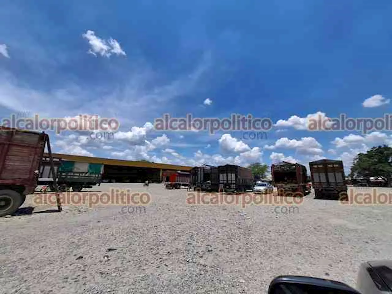 Desolado, principal centro de acopio de naranja a nivel nacional, ubicado en Álamo