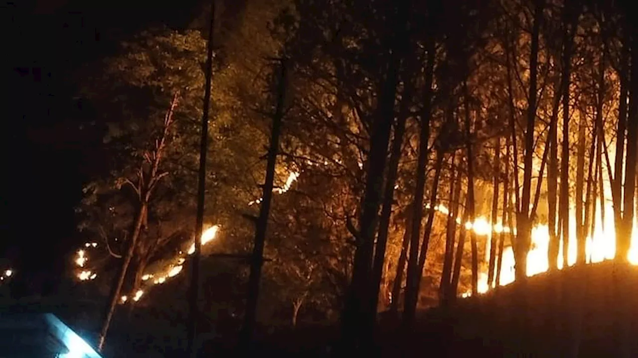 Forest Fire : उत्तराखंड के जंगल की आग बेकाबू, धधक रहे हैं अल्मोड़ा और रानीखेत के वन; अब तक हो चुकी 10 की मौत