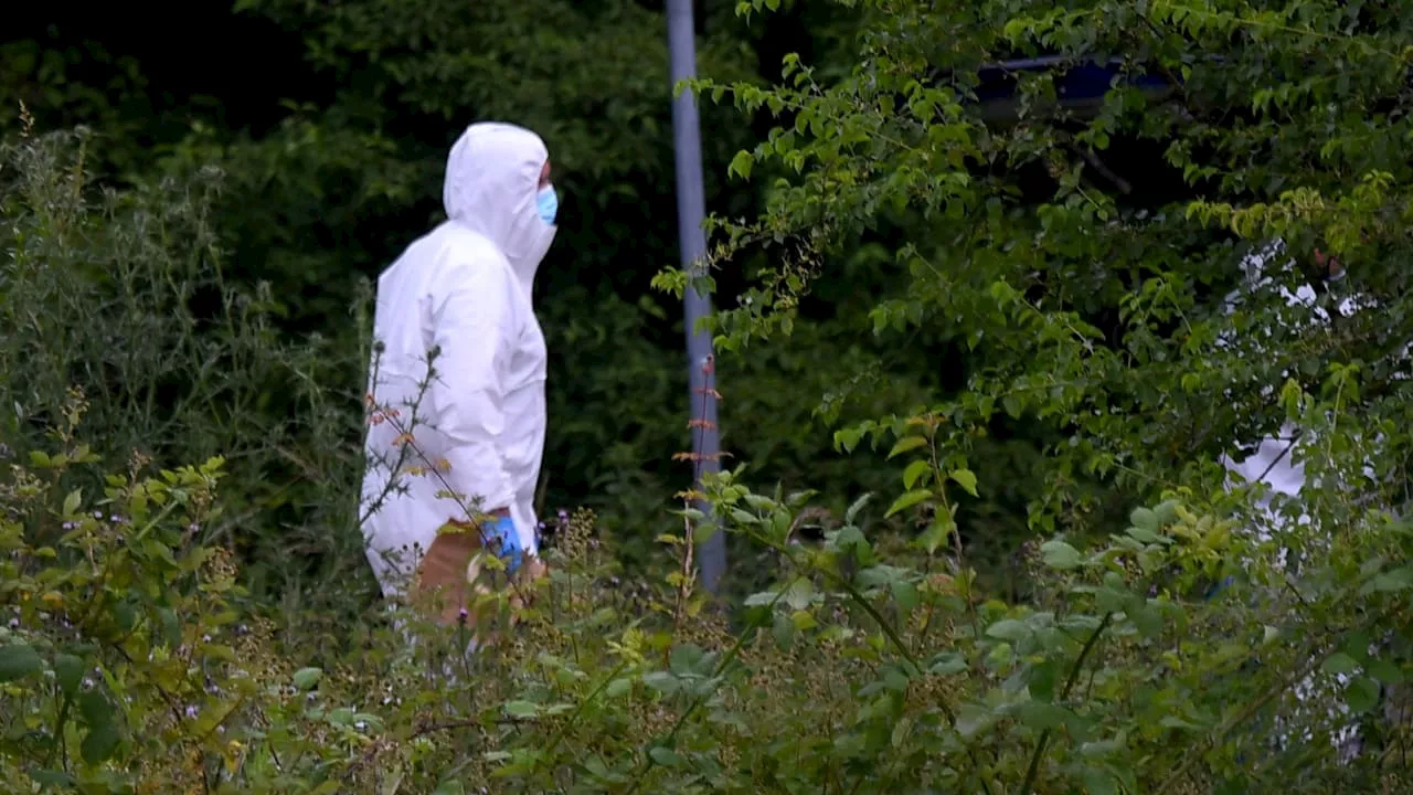 Mord in Bensheim: Spaziergängerin findet Leiche an Baggersee