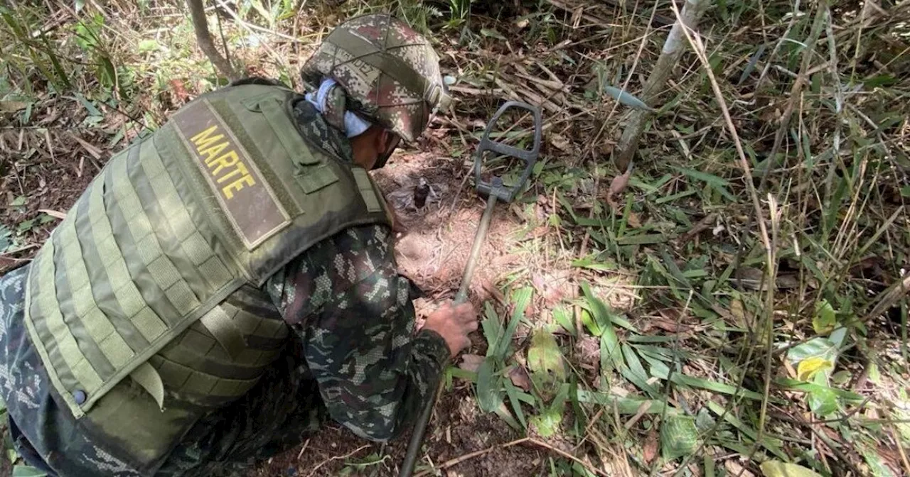 Ejército destruyó cinco minas en zona rural de Morales, sur de Bolívar