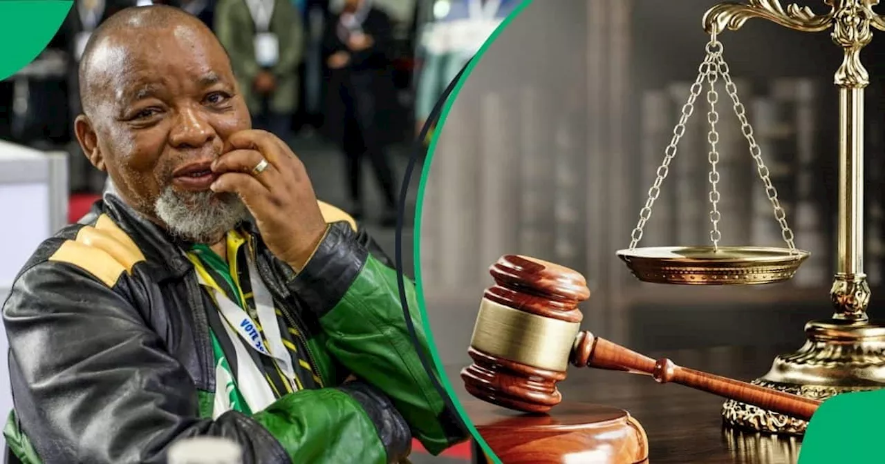 Investigating Directorate Rejects Reports of Gwede Mantashe's Impending Arrest