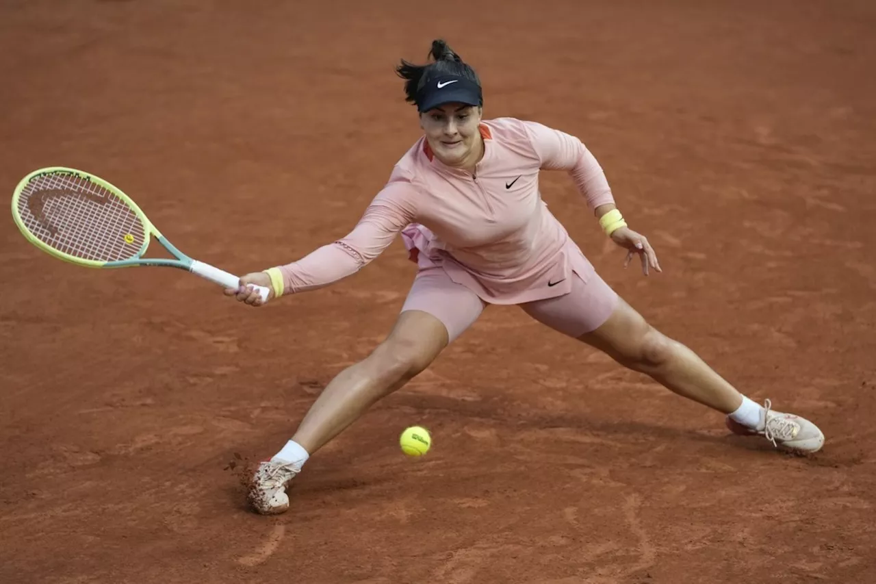 Andreescu drops Libema Open women's final in three sets to Samsonova