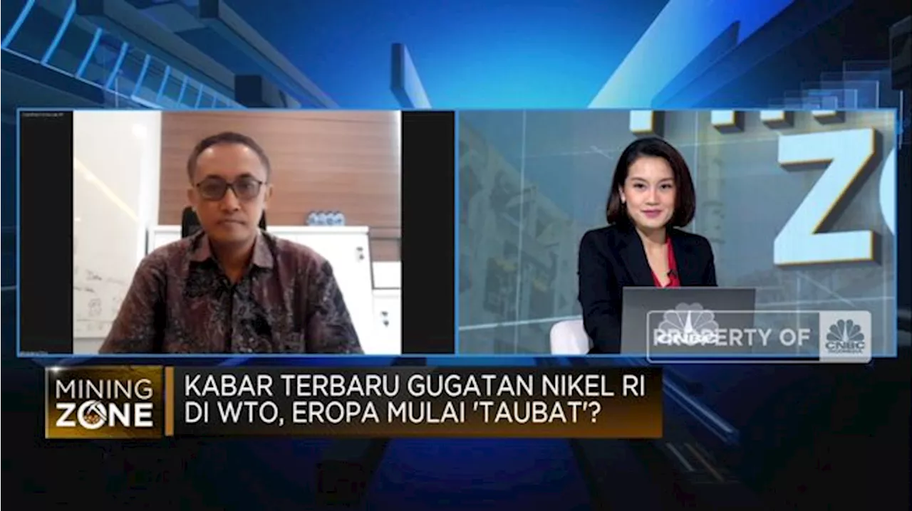 Produsen Terbesar Hingga Digugat EU, Gimana Nasib Industri Nikel RI?