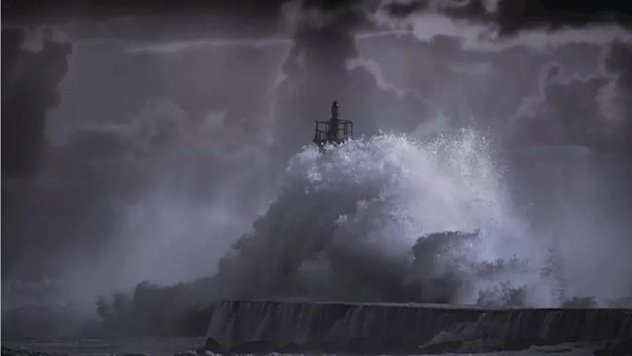 Ahli Ungkap 'Angka 20' Bisa Jadi Cara Jitu Deteksi Tsunami Saat Gempa