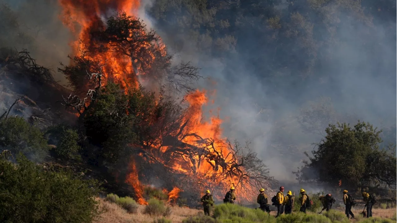 A fire in Los Angeles County has consumed over 10,000 acres