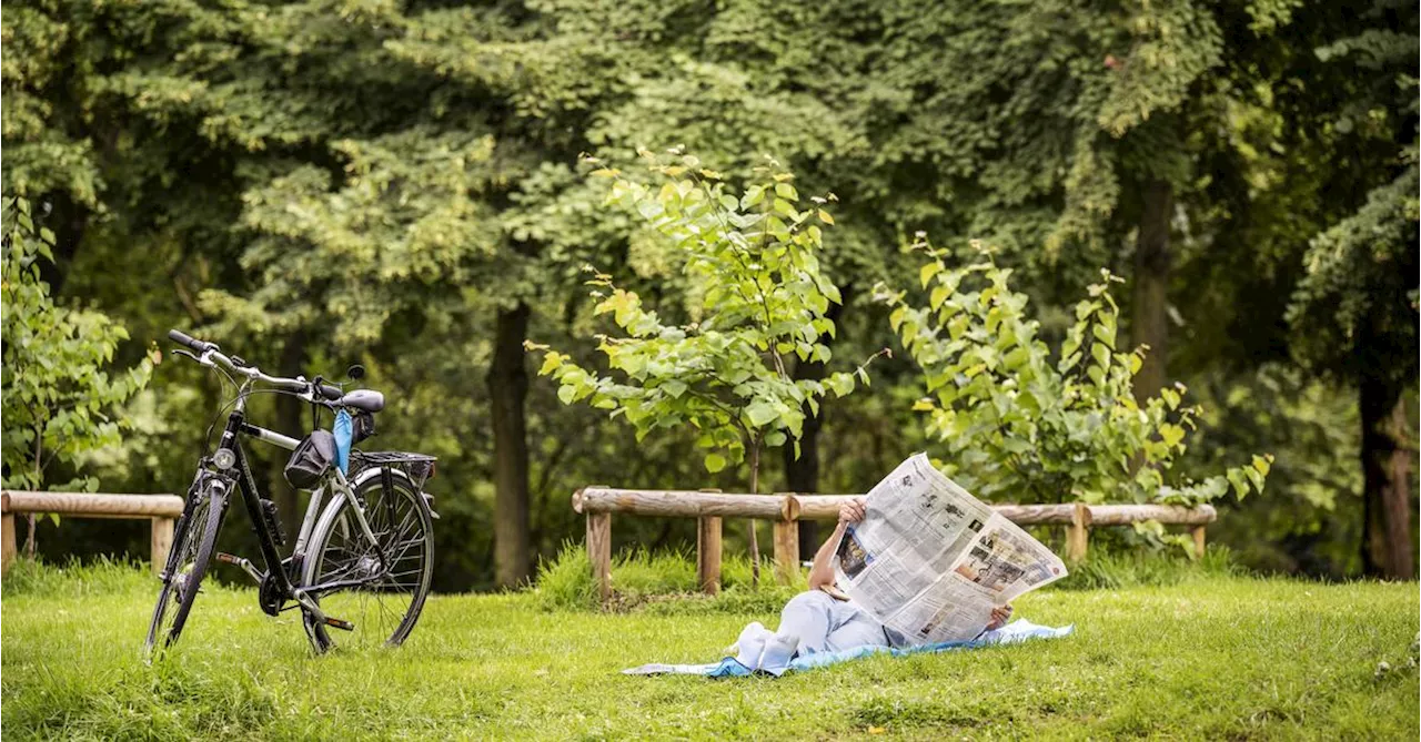 Nachrichten, die es nicht in die Zeitung schaffen