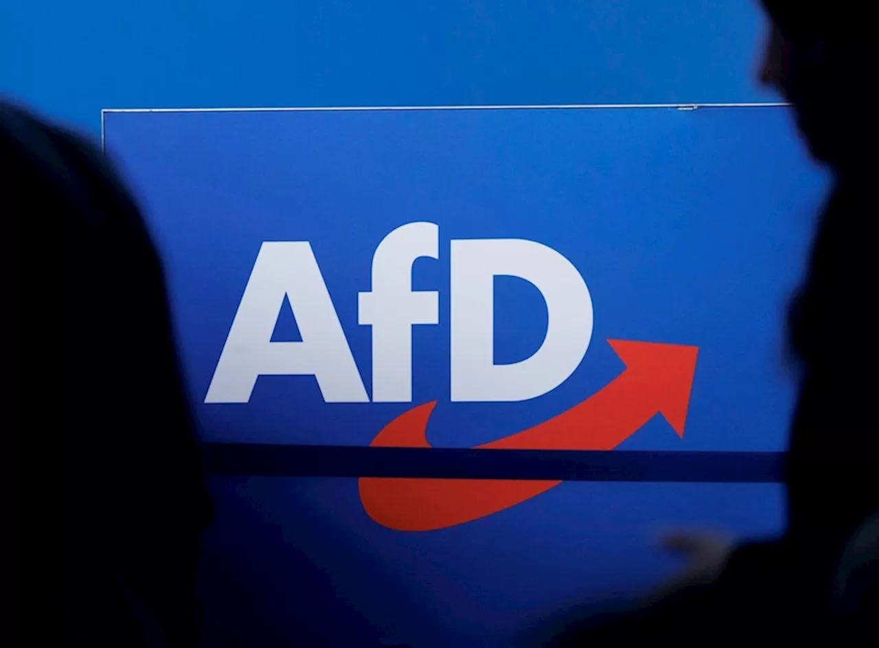 Historikerin warnt vor Überhöhung der AfD nach Europawahl