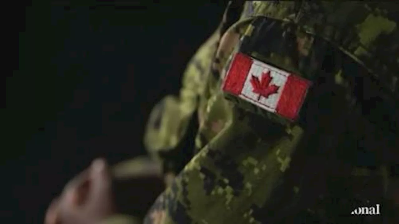 Sexual assault survivors in Canadian military call for greater accountability