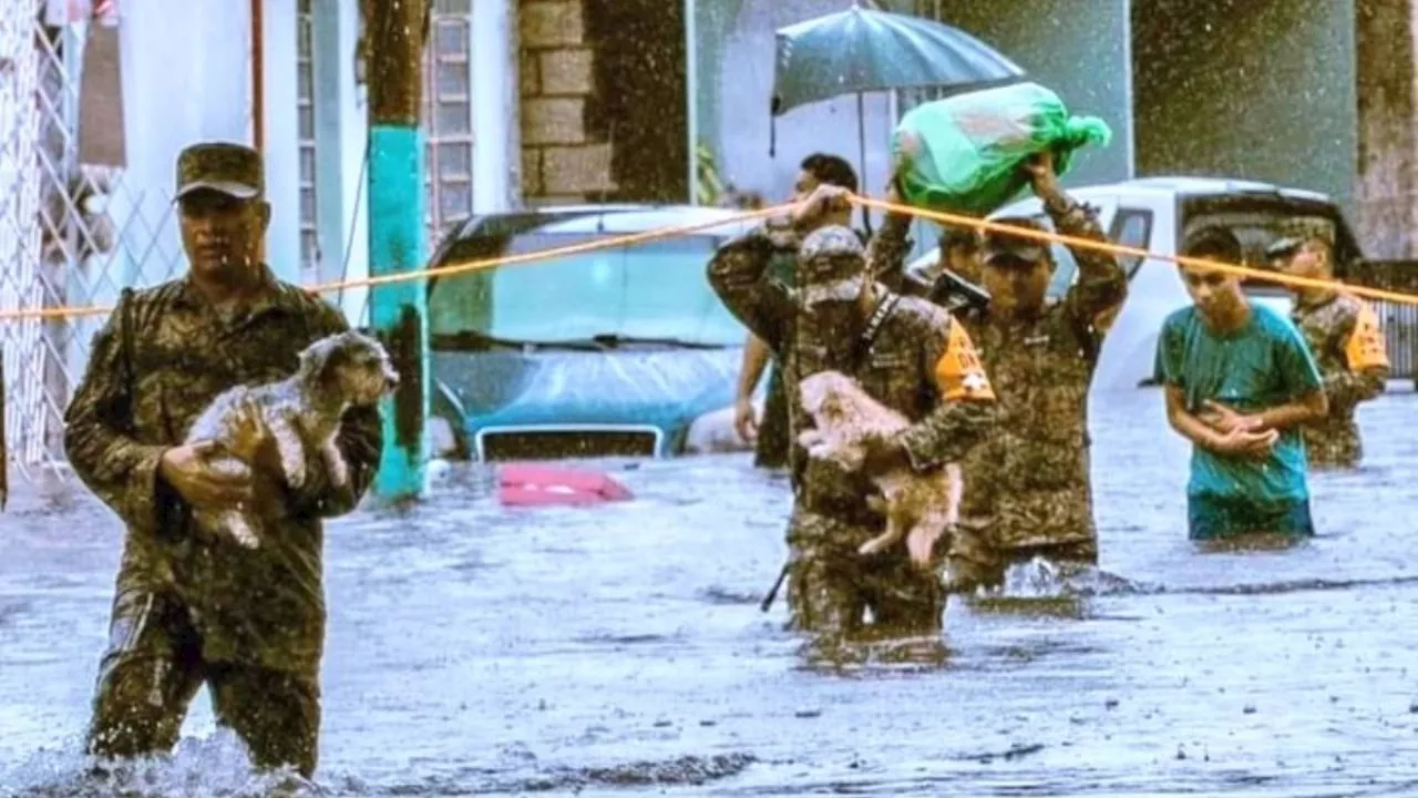 Ejército mexicano rescata a perritos de las inundaciones en Chetumal y se vuelven virales