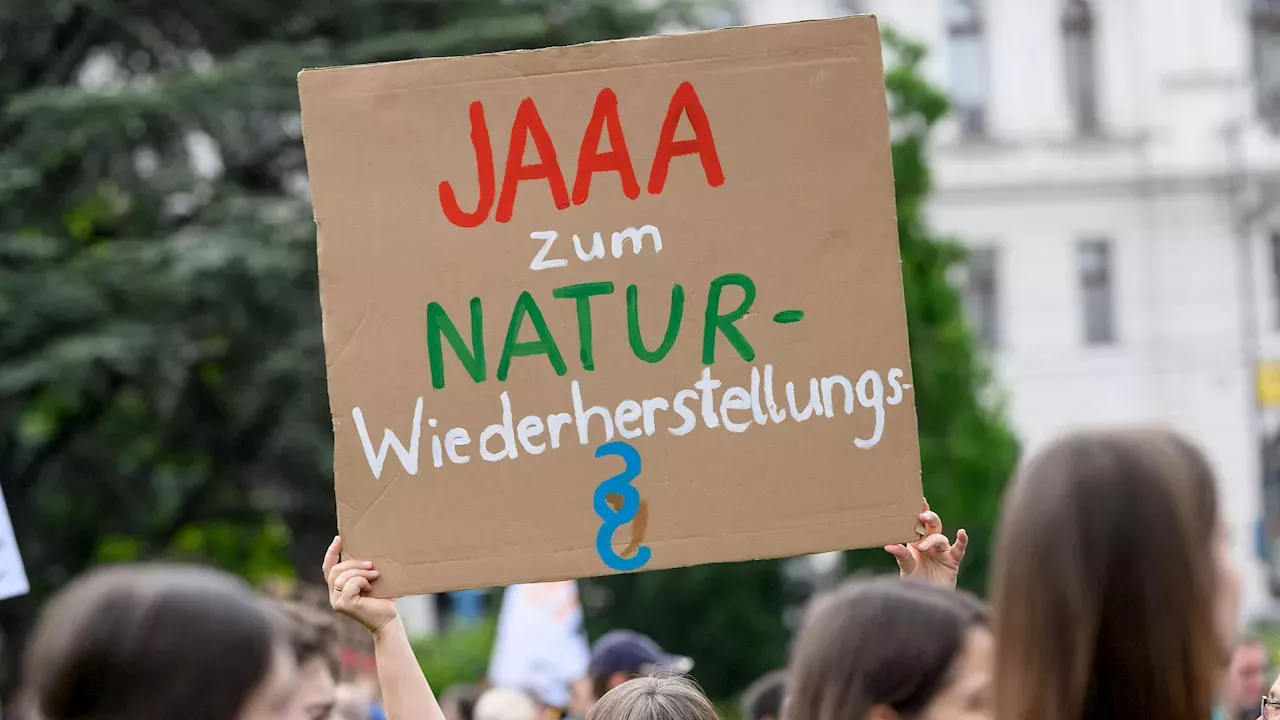 EU-Renaturierungsgesetz: Blockade Aufheben – Bürger-Mehrheit Will Natur ...