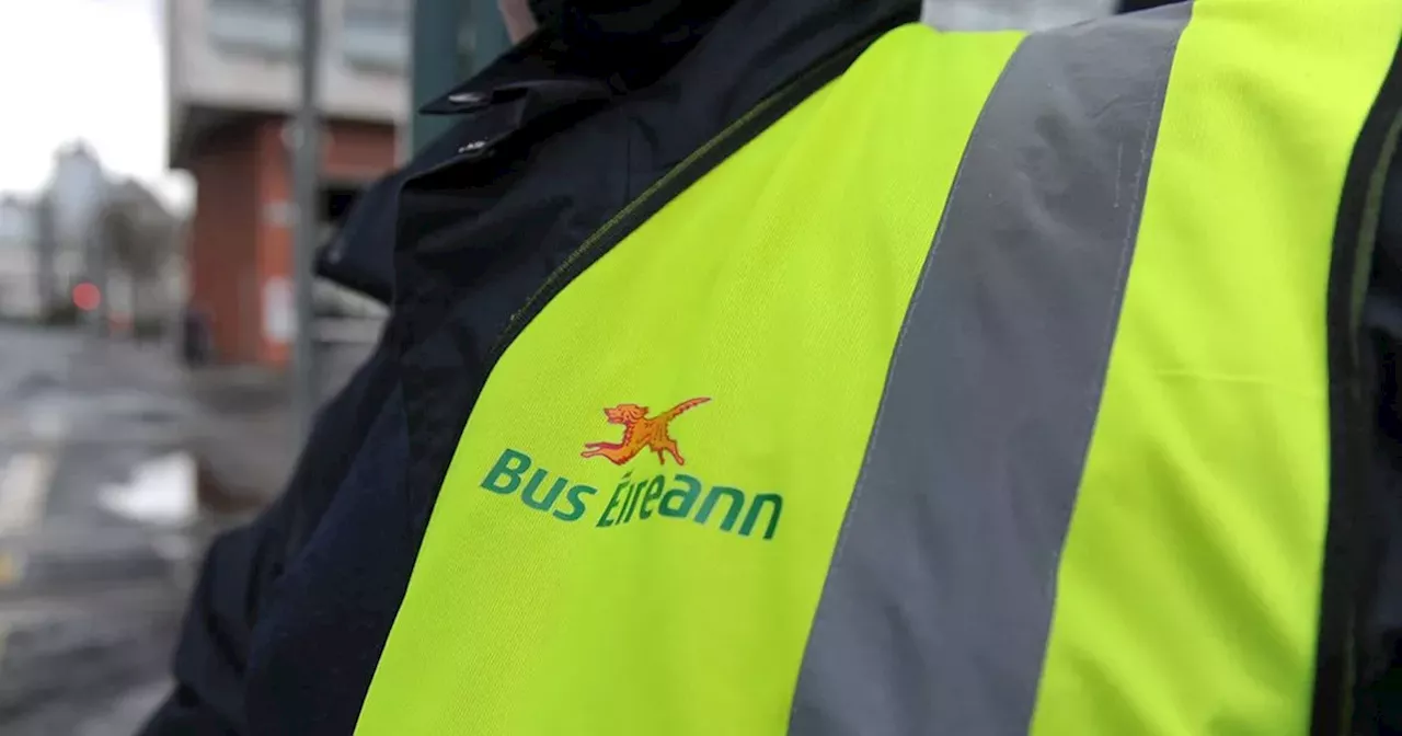 Bus Éireann ordered to pay €4,000 to passenger not allowed on bus with guide dog