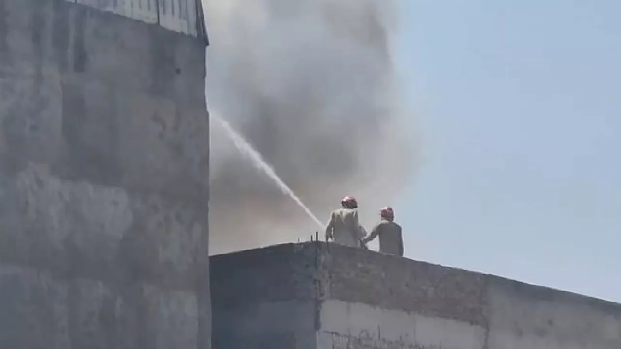 Delhi Fire: मुंडका की कार्डबोर्ड फैक्ट्री में लगी आग, दमकल की करीब 35 गाड़ियां मौके पर मौजूद