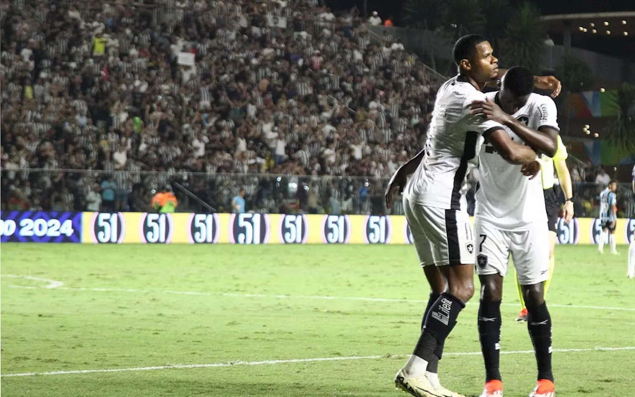 Botafogo vence o Grêmio e assume a liderança do Campeonato Brasileiro