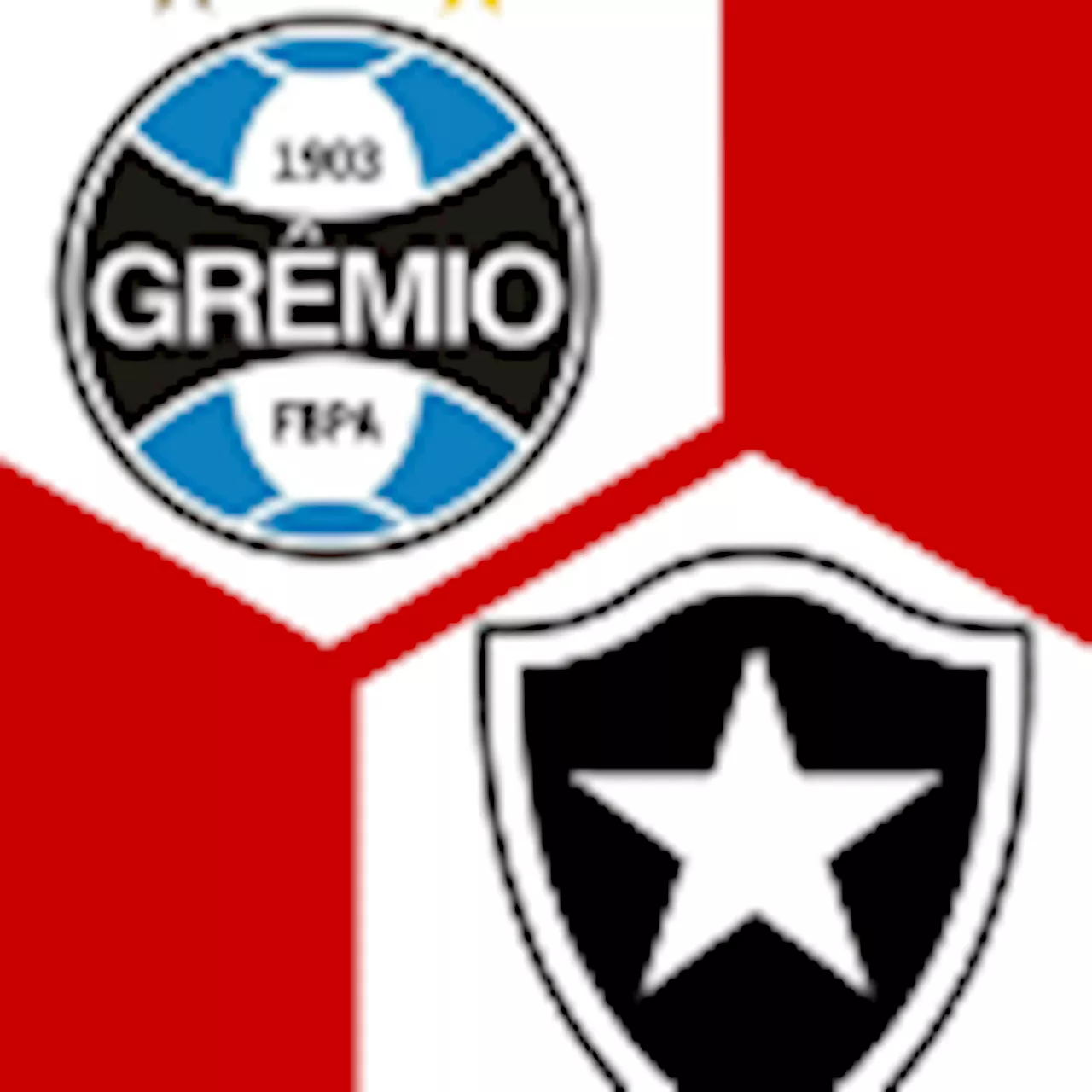  Botafogo 1:2 | 9. Spieltag | Campeonato Brasileiro A 2024