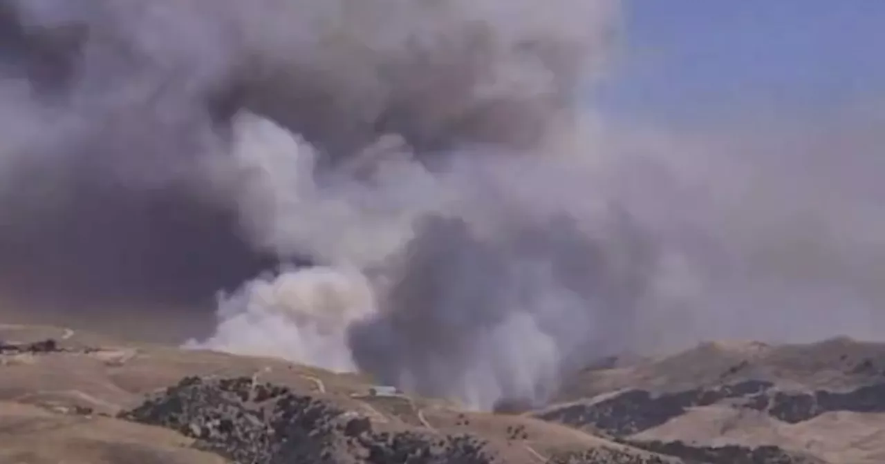 Fast-Moving Fire Quickly Grows Thousands Of Acres Near Gorman, As Southland Heads Into Fire Season