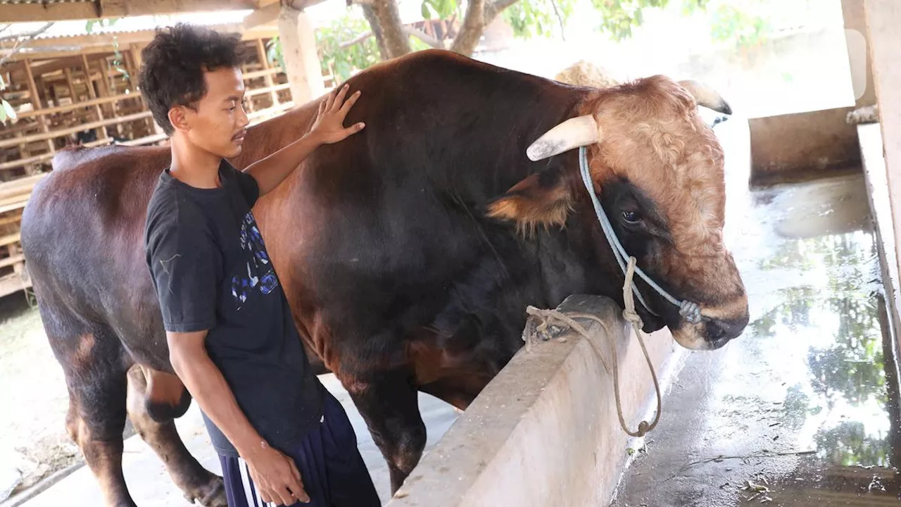 Mengapa Hari Raya Idul Adha Disebut Juga sebagai Lebaran Haji dan Hari Raya Idul Qurban? Simak Sejarahnya