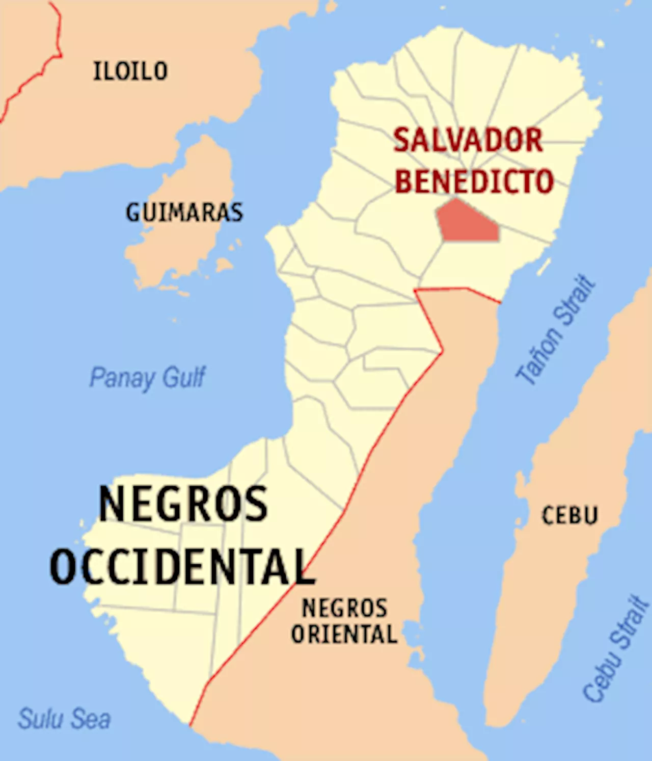 Negros Occidental town mayor laments bus accident