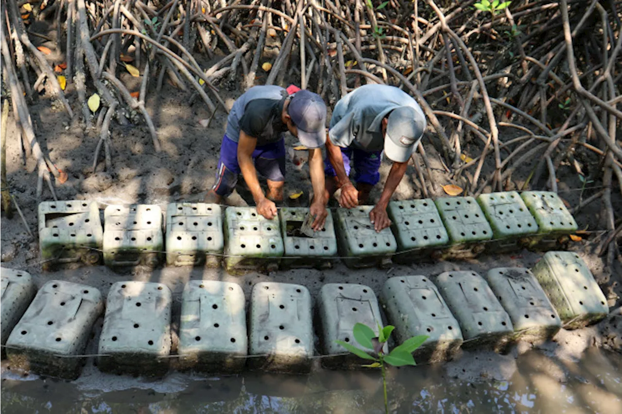 Di Tangan Masyarakat, Kesuksesan Pengelolaan Hutan yang Produktif dan Berkelanjutan