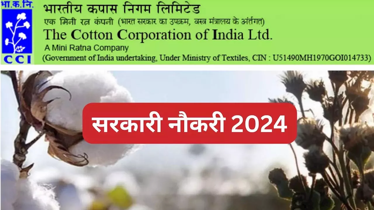 CCIL Vacancy 2024: कंपड़ा मंत्रालय में नौकरी पाने का शानदार मौका, ग्रेजुएट को 1 लाख से ऊपर सैलरी