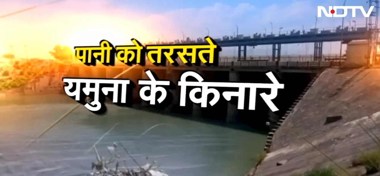 NDTV ग्राउंड रिपोर्ट : यमुना नदी में नहीं है पानी, फिर कैसे बुझेगी दिल्&zwj;ली की प्&zwj;यास