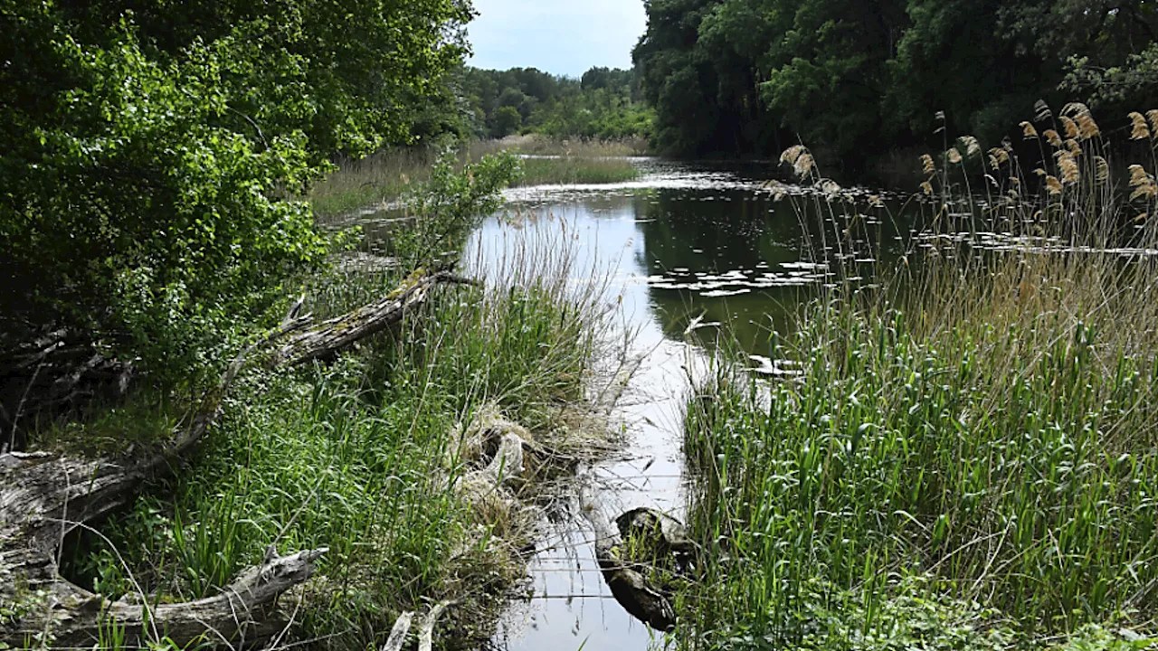 Neue Maßnahmen für das Radfahren in der Lobau