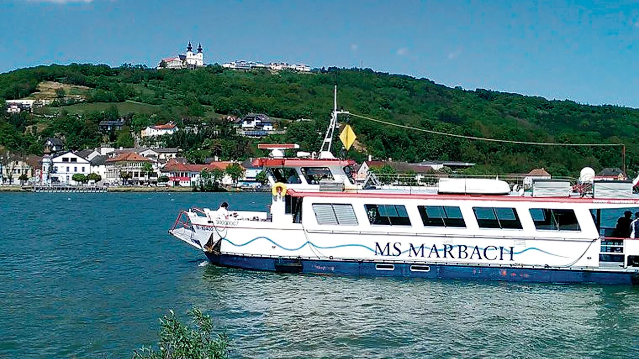 Schiff gefällig? Die MS Marbach wird verkauft