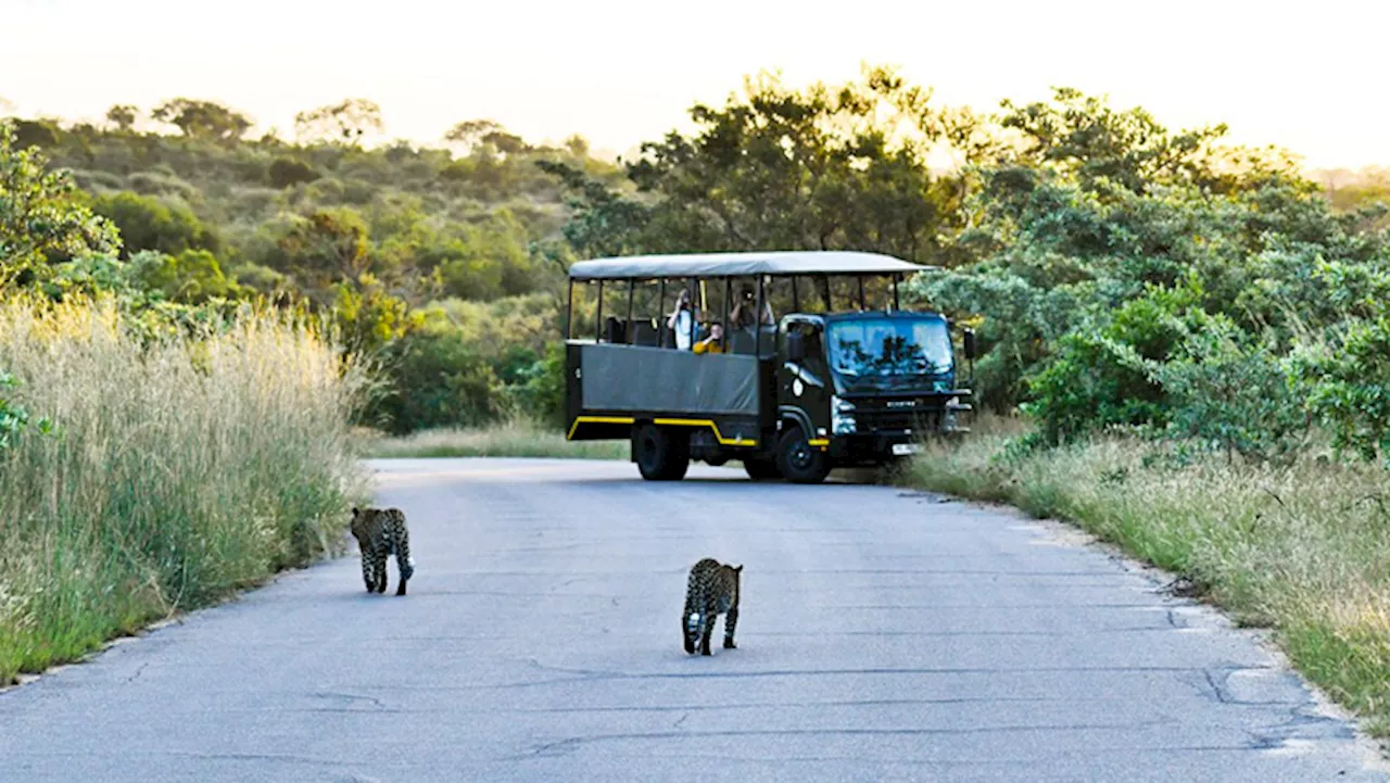 MTPA concerned about illegal miners invading Songimvelo Reserve - SABC News