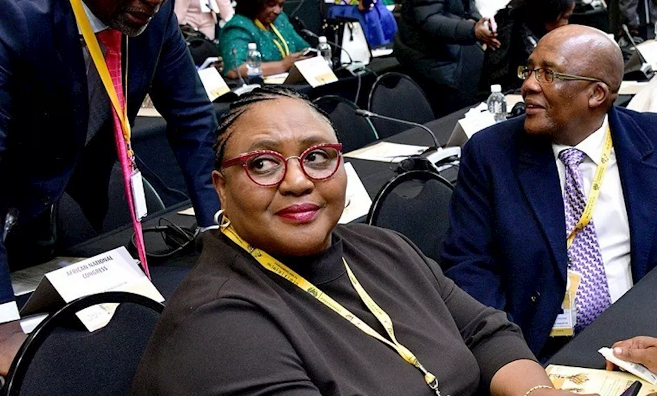 New Speaker set to navigate a very fragile national legislature - SABC News