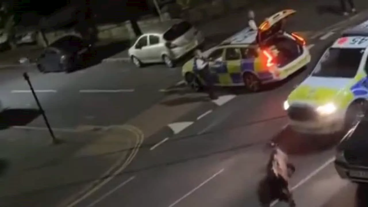 Officer removed from duty after ramming runaway cow with car, UK police says