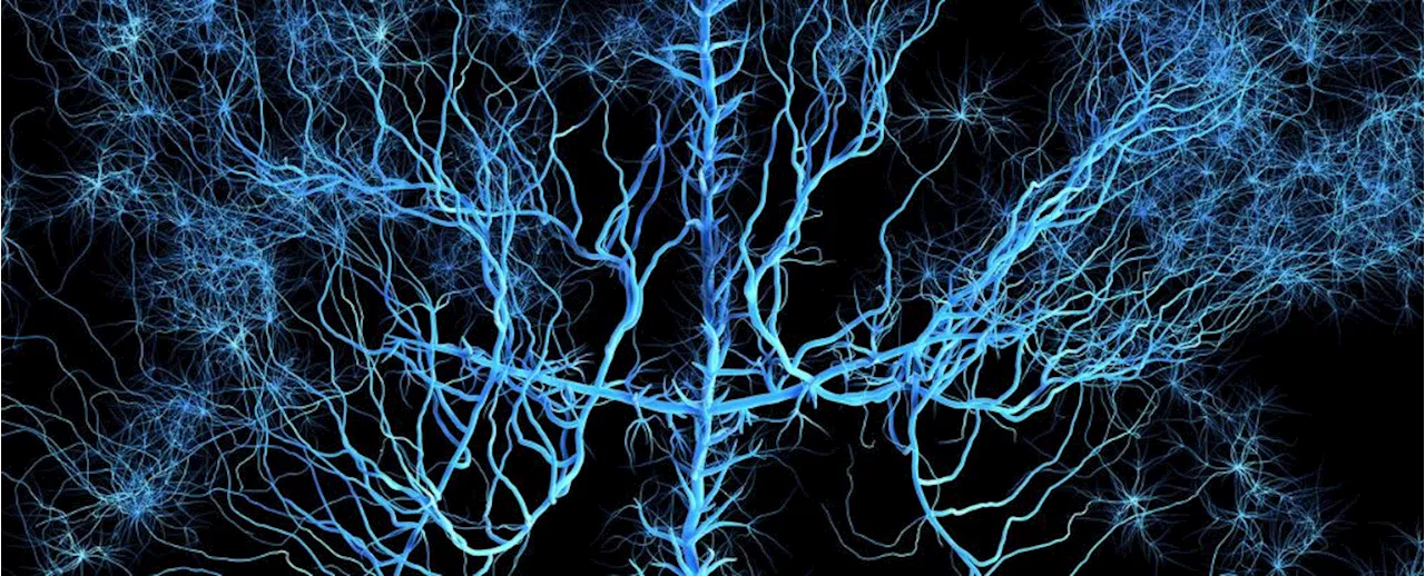 The Human Brain's Complexity Verges on The Brink of Chaos, Physicists Say