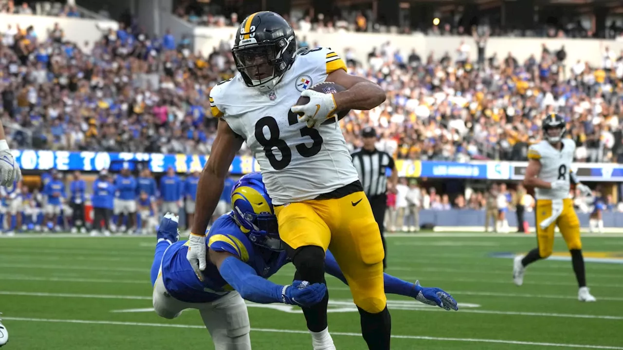 Pittsburgh Steelers Facing Difficult Roster Decision at TE